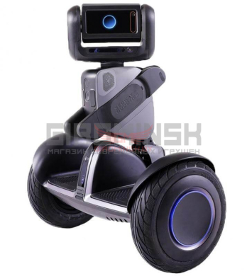 Купить Cигвей Ninebot Robotics Loomo