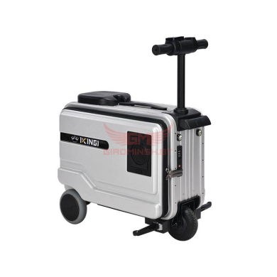 Купить Электро-чемодан IKingi