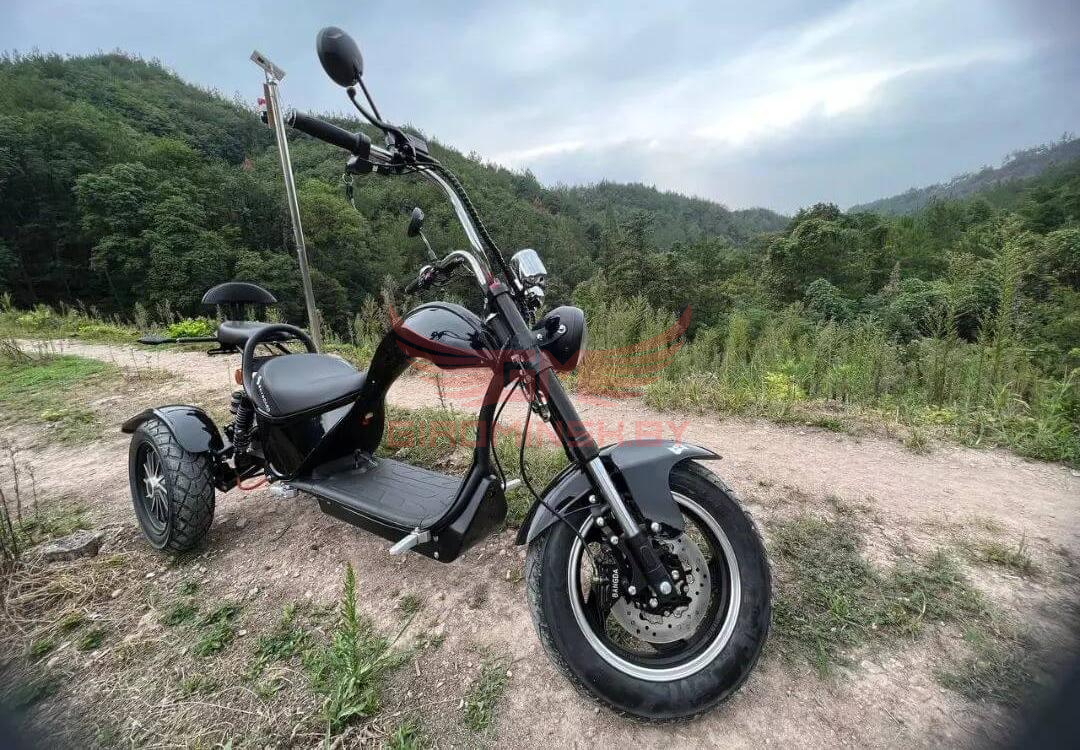 Электроскутер Skyboard Elbrus Chopper 4000W