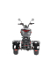 Трицикл White Siberia TRIKE PRO 3000w черный Трицикл White Siberia TRIKE PRO 3000w черный