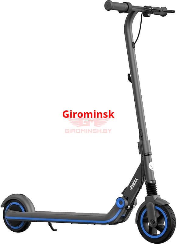 Электросамокат Ninebot eKickscooter Zing E10 Black