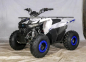 Квадроцикл ATV Regulmoto HAMMER 125