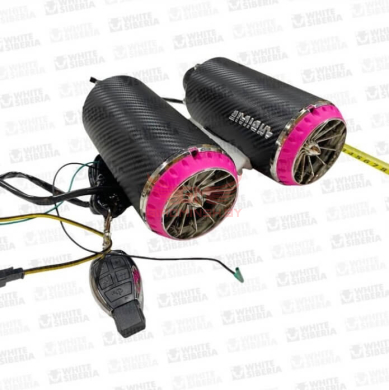 Купить Колонки с пультом управления White Siberia