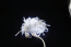 Гирлянда Нить LED "Стринг лайт" Белые Диоды 24 V Мерцающие