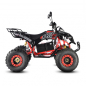 Электроквадроцикл WHITE SIBERIA SNEG PRO R 3000W Электроквадроцикл WHITE SIBERIA SNEG PRO R 3000W