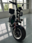Электроскутер Skyboard Ural 2WD + LiFePo4 (с подогревом)