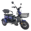 Электроскутер SmartBalance Bysel