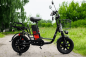 Электровелосипед AVM E-ALFA Fat