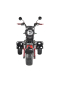 Трицикл White Siberia TRIKE PRO 3000w черный Трицикл White Siberia TRIKE PRO 3000w черный