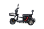Трицикл WHITE SIBERIA SIBTRIKE L 2000W