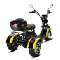 Трицкил White Siberia Siberton Pro Trike