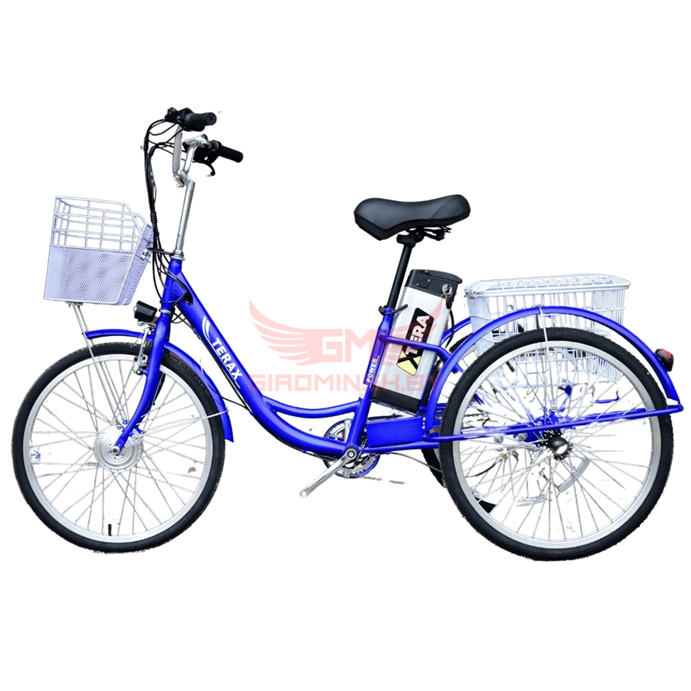 Электровелосипед трехколесный TERAX NAROCH XD02