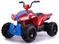 Детский квадроцикл T555TT