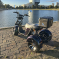 Электроскутер Skyboard MyRussia 3000W LiFePo4 (с подогревом)