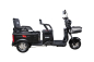 Трицикл WHITE SIBERIA SIBTRIKE MAX 2000W